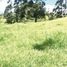  Land for sale in Rionegro, Antioquia, Rionegro