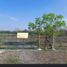  Land for sale in Agualeguas, Nuevo Leon, Agualeguas