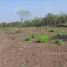  Land for sale in Agualeguas, Nuevo Leon, Agualeguas