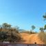  Land for sale in Tepic, Nayarit, Tepic