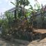  Grundstück zu verkaufen in Lembang, West Jawa, Lembang, Bandung, West Jawa, Indonesien