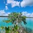  Grundstück zu verkaufen in Othon P Blanco, Quintana Roo, Othon P Blanco