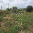  Land for rent in Allende, Nuevo Leon, Allende