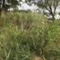  Land for rent in Allende, Nuevo Leon, Allende