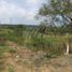  Land for rent in Allende, Nuevo Leon, Allende