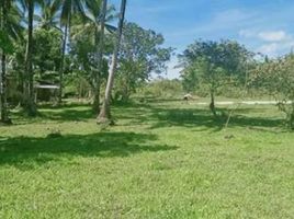  Grundstück zu verkaufen in San Juan, Calabarzon, San Juan, Batangas