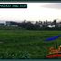  Land for sale in Selemadeg, Tabanan, Selemadeg