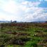  Land for sale in Madrid, Cundinamarca, Madrid