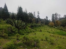  Terreno (Parcela) en venta en Pachuca De Soto, Hidalgo, Pachuca De Soto, Hidalgo