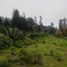  Land for sale in Pachuca De Soto, Hidalgo, Pachuca De Soto