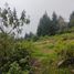  Land for sale in Pachuca De Soto, Hidalgo, Pachuca De Soto