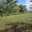  Land for sale in Panama Oeste, Nueva Gorgona, Chame, Panama Oeste