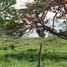  Land for sale in Tepetlan, Veracruz, Tepetlan