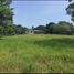  Land for sale in Tepetlan, Veracruz, Tepetlan