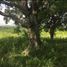  Land for sale in Tepetlan, Veracruz, Tepetlan