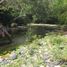  Land for sale in Tepetlan, Veracruz, Tepetlan