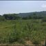  Land for sale in Tepetlan, Veracruz, Tepetlan