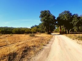  Terrain for sale in Tecate, Baja California, Tecate