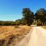  Land for sale in Tecate Baja California, Tecate, Baja California, Mexico