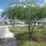  Land for sale in Reynosa, Tamaulipas, Reynosa