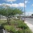  Land for sale in Reynosa, Tamaulipas, Reynosa