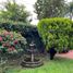  Haus zu vermieten in Cuernavaca, Morelos, Cuernavaca
