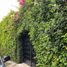  House for rent in Cuernavaca, Morelos, Cuernavaca