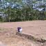  Land for sale in Depok, Sleman, Depok