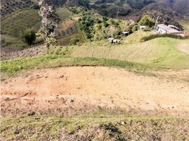  Terreno (Parcela) en venta en San Vicente, Antioquia, San Vicente