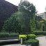 169 m2 Office for rent in Mexico City, Miguel Hidalgo, Mexico City