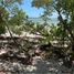  Grundstück zu verkaufen in Lazaro Cardenas, Quintana Roo, Lazaro Cardenas