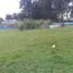  Land for sale in Quito, Pichincha, Quito, Quito