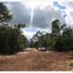  Terreno (Parcela) en venta en Cozumel, Quintana Roo, Cozumel