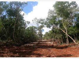  Terreno (Parcela) en venta en Cozumel, Quintana Roo, Cozumel