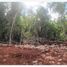  Terreno (Parcela) en venta en Cozumel, Quintana Roo, Cozumel