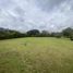  Land for sale in Ecuador, Tumbaco, Quito, Pichincha, Ecuador