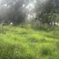  Land for sale in Emiliano Zapata, Veracruz, Emiliano Zapata