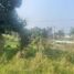  Land for sale in Emiliano Zapata, Veracruz, Emiliano Zapata