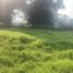  Land for sale in Emiliano Zapata, Veracruz, Emiliano Zapata