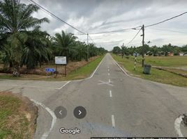  Terrain for sale in Selangor, Sepang, Sepang, Selangor