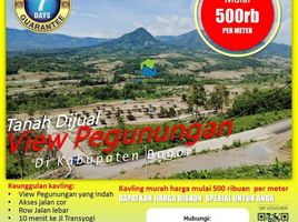  Land for sale in Bogor, West Jawa, Cariu, Bogor