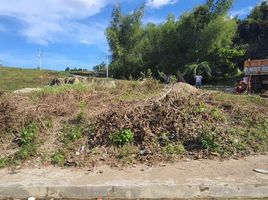 Terreno (Parcela) en venta en Cebu City, Central Visayas, Cebu City, Cebu, Central Visayas, Filipinas