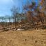  Land for sale in Dist Pochutla, Oaxaca, Dist Pochutla