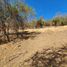  Land for sale in Dist Pochutla, Oaxaca, Dist Pochutla