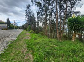  Terreno (Parcela) en venta en Nayon, Quito, Nayon