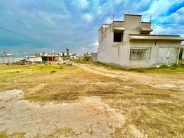  Grundstück zu verkaufen in Tlanalapa, Hidalgo, Tlanalapa, Hidalgo