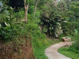  Land for sale in Purwakarta, West Jawa, Purwakarta, Purwakarta