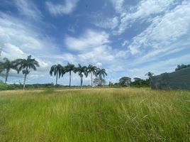  Terreno (Parcela) en alquiler en Córdoba, Monteria, Córdoba