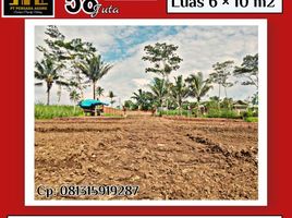  Land for sale in Kepanjen, Malang Regency, Kepanjen