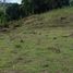  Land for sale in Cali, Valle Del Cauca, Cali